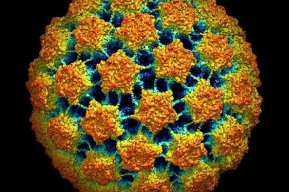 Métodos para diagnosticar o vírus do papiloma humano