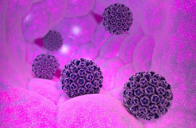 Papilomavírus humano com genótipos oncogênicos e não oncogênicos