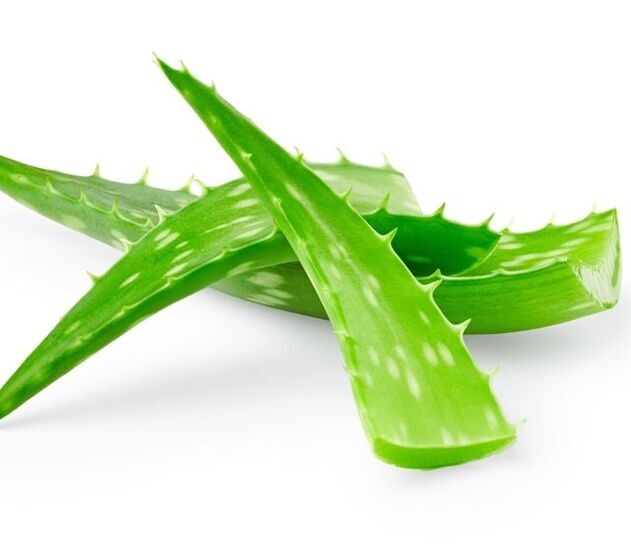 Aloe para o tratamento de papilomas